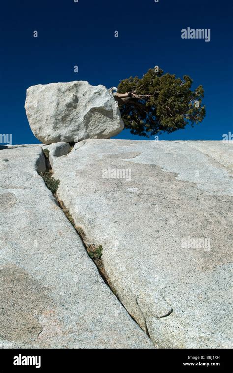 Usa California Yosemite National Park Olmsted Point Glacial Eratics