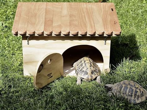 Nouveauté Blitzen maison refuge De Luxe pour tortues terrestres avec