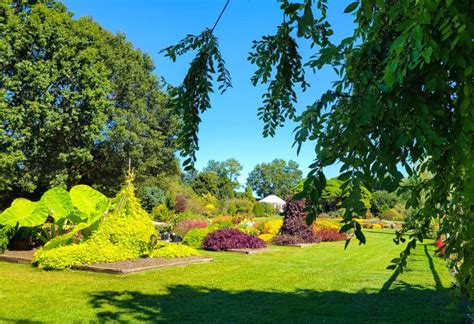 Dont Miss Jc Raulston Arboretum 5000 Plants