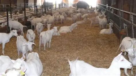 LEPA partenariat renouvelé avec la chambre d agriculture