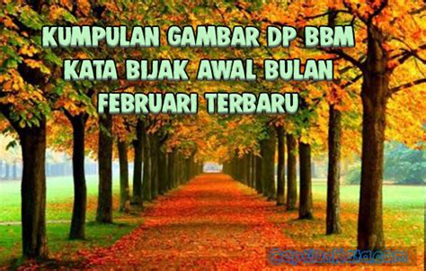 Caption Gambar Kata Bijak Awal Bulan Februari Story Wa Kalimat