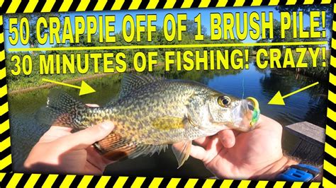 Fishing A Brush Pile For Summer Crappie Youtube