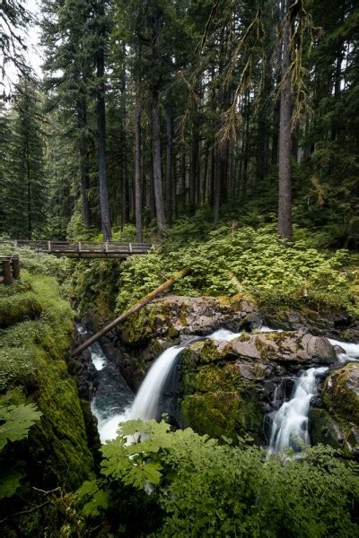 Three Waterfalls in Olympic National Park