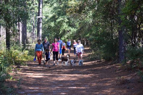 The Hitchcock Woods in the Center of Aiken, South Carolina