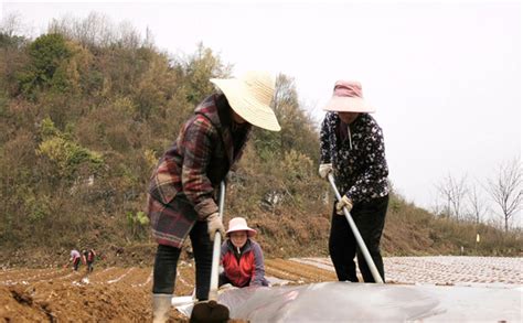 大方县东关乡：抢抓农时，打好春耕生产第一仗 新华网