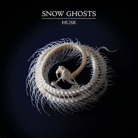 Snow Ghosts Husk Releases Discogs