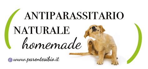 Antiparassitario Naturale Per Cani Gatti Parentesi Bio Il Bio