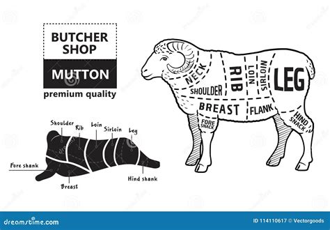 Lamb Or Mutton Cuts Diagram Butcher Shop Stock Vector Illustration