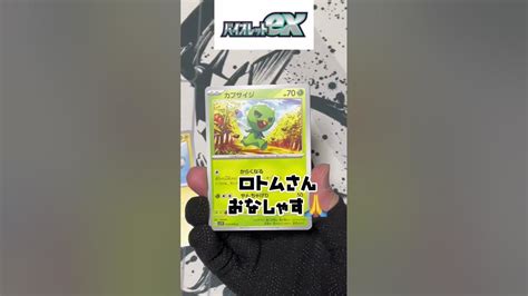 【ポケカ】今日の引きは？バイオレットexで運試し‼︎‼︎ ポケカ Pokemon ポケモンカード Youtube