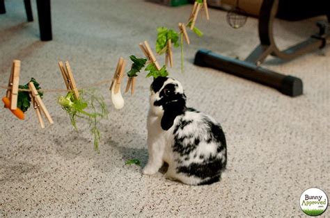 Sisal String Clothespins And Vegetables Make For A Very Happy Bunny