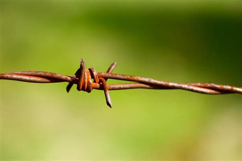 Old Rusty Twisted Barbed Wire Photograph By Gregory Dean