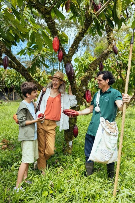 Events & Festivals - Visit Costa Rica - Celebrate Traditions, Holidays