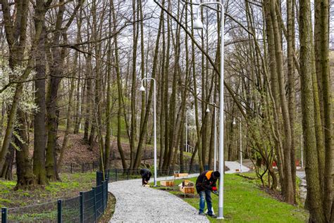 Katowice Ekologiczne projekty Nowe parki i Zielony Budżet 2024