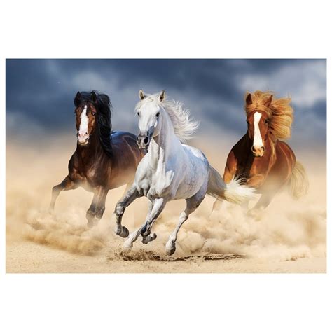 Bring Western Spirit To A Room With This Acrylic Wall Art Featuring A