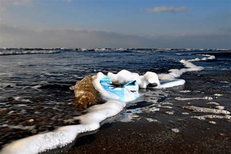 Quali Sono Le Sostanze Tossiche Nei Rifiuti Plastici Che Possono Finire