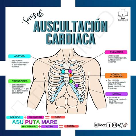 FOCOS DE AUSCULTACIÓN CARDIACA ThinkMed uDocz