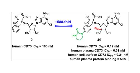 Discovery Of A Series Of Potent Selective And Orally Bioavailable