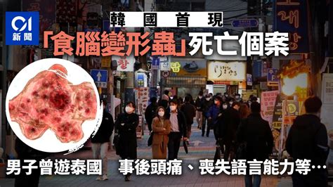 韓國首現「食腦變形蟲」死亡案例 患者曾逗留泰國