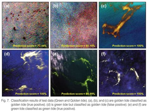 Deep Learning Based Floating Macroalgae Classification Using Gaofen 1