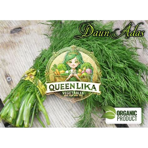 Jual Daun Adas Fresh Segar Organik 1 Ikat Shopee Indonesia