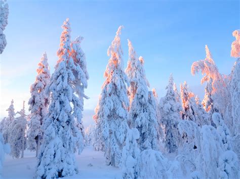 10 Magical Photos that will make you want to visit Lapland today