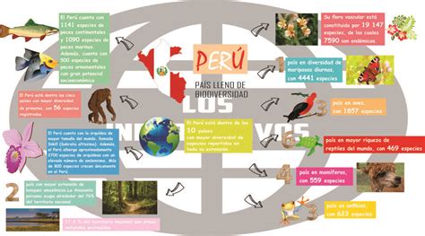 Infografía Sobre La Biodiversidad Que Caracteriza Al Perú Y Cómo Se