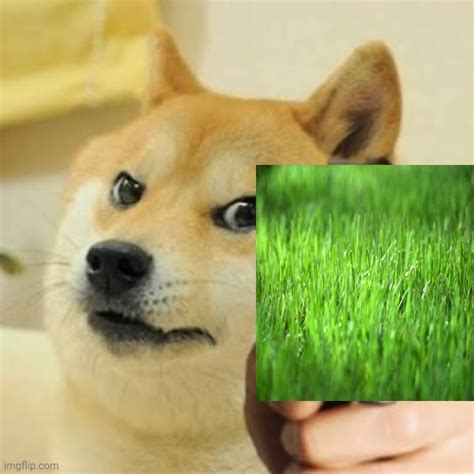 I M Touching Grass Happy Now Imgflip