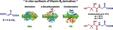 Modular Enzymatic Cascade Synthesis Of Vitamin B5 And Its Derivatives Abidin 2018