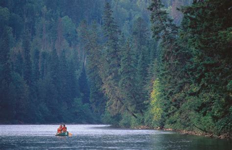 Parc National de la Gaspésie wildlife location in Canada, North America ...