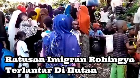 Ratusan Imigran Rohingya Terlantar Di Hutan Youtube