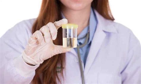 Urine Drug Testing Facts That Will Surprise You Buy Fake Urine