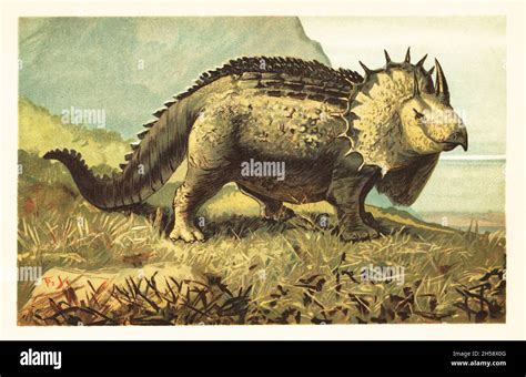 Prehistoric Extinction Hi Res Stock Photography And Images Alamy