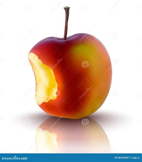 Vector Illustration Of Apple Stock Vector Illustration Of Shiny