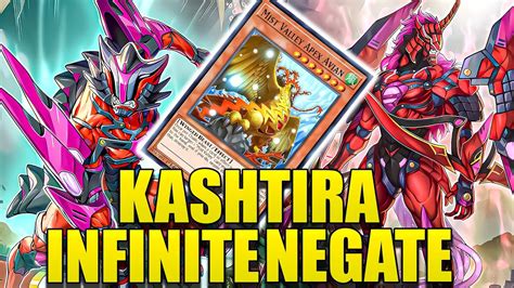 Infinite Negate Kashtira Is Here Decklist Rank Duel Yu Gi Oh Master