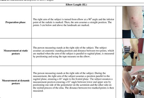 Table 1 From Calculating The Percentage Of Body Measurement Changes In