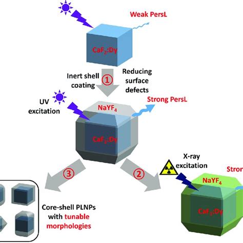 Schematic Of The Three Dimensional Controlled Synthesis Of Coreshell