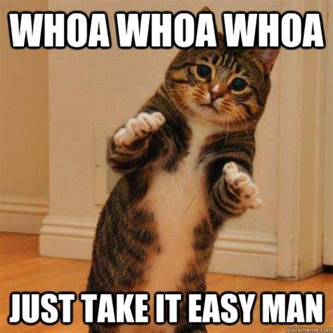 Overly Concerned Cat Dancing Cat Funny Cats Cat Memes