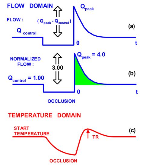 Vascular Reactivity In Both Flow And Temperature Domains A An Ideal