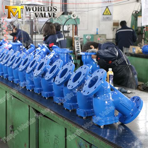 Pn10 Pn16 Ductile Iron Y Type Strainer Filter From China Manufacturer Tianjin Worlds Valve Co