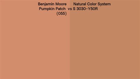 Benjamin Moore Pumpkin Patch Vs Natural Color System S Y R