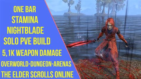 Eso One Bar Stamina Nightblade Stamblade K Dps Pve Build Ft Hot Sex