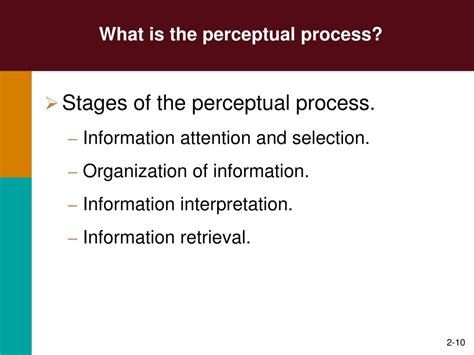 Perception process 3 stages - finored