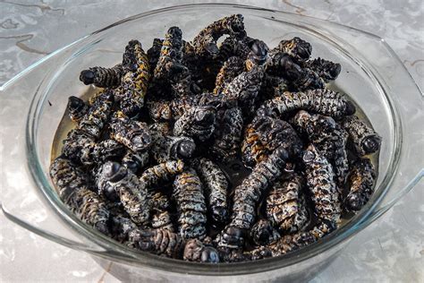 Mopane Worms Top 10 Traditional Zimbabwean Foods You Must Try