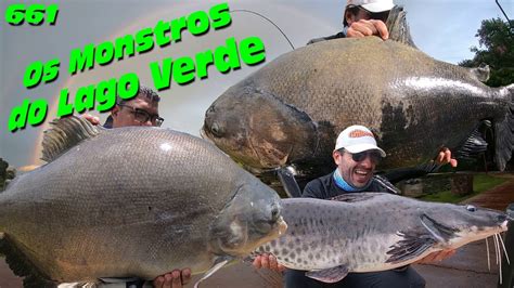 Pescaria Estilo Goiano Os Tambas Gigantes Do Lago Verde