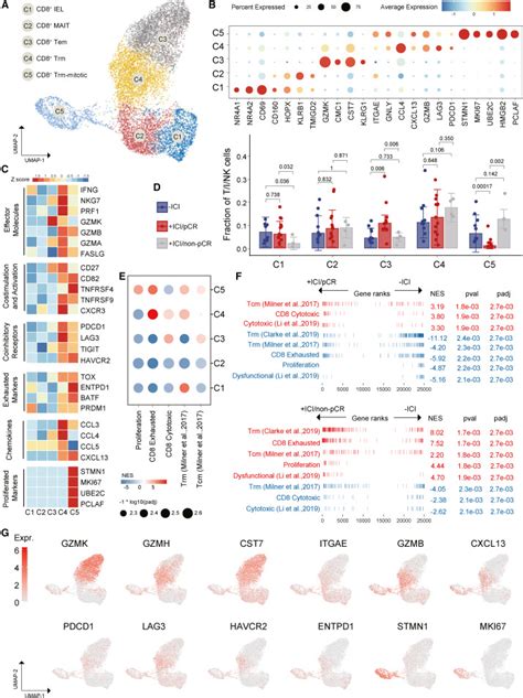 Remodeling Of The Immune And Stromal Cell Compartment By PD 1 Blockade