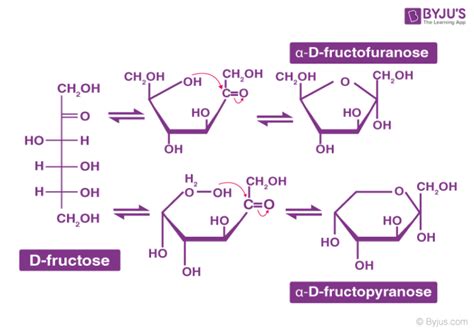 Classification of Carbohydrates - Carbohydrate Definition, Types of ...