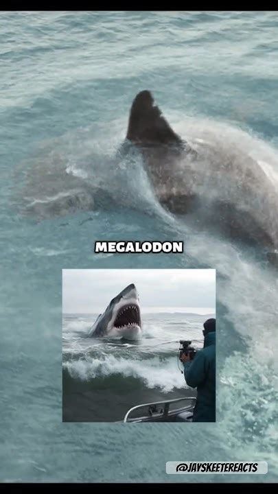 Video Proof At The End Thalassophobia Megalodon Phobia Viral Marianastrench Youtube