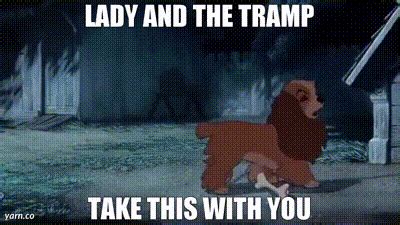 YARN LADY AND THE TRAMP TAKE THIS WITH YOU Lady And The Tramp 1955