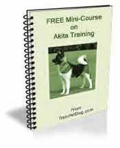 Dogs >> Akita - Free Training Course on Akitas