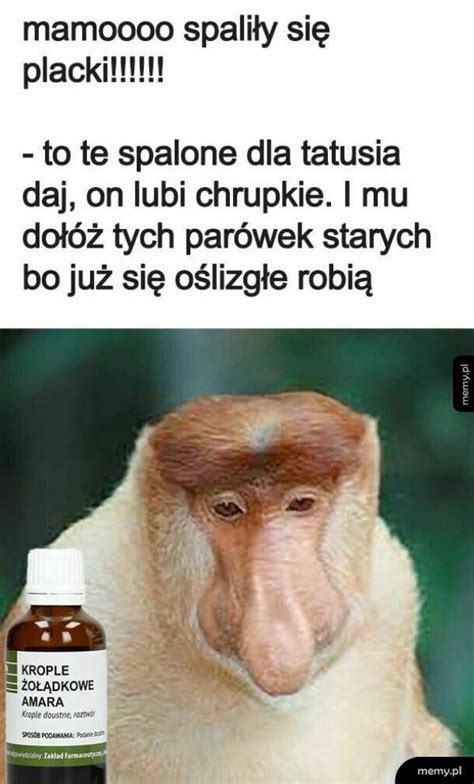 Twój stary Memy pl